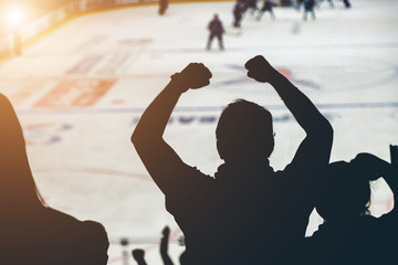 fans on the hockey match