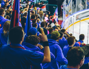fans on the hockey match