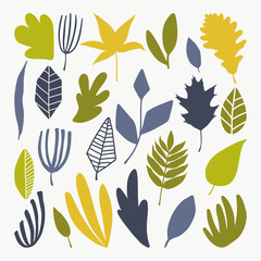 Vector illustration, set of bright autumn leaves for your design.