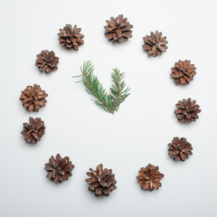 Christmas framework with Christmas tree cones against the white background.new art composition, minimalism