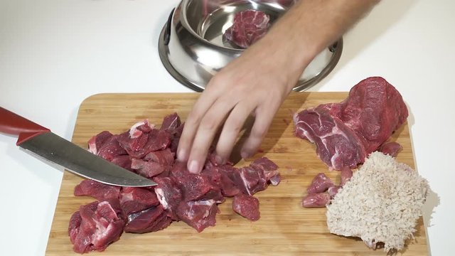 Puting make meat raw beef barf meal in dog bowl