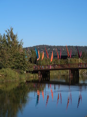 Deschutes River at the Old Mill District