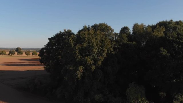 Steigflug &uuml;ber Baumgruppe Richtung Erkrath-Unterfeldhaus