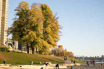 city in the autumn
