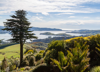 Garden overlooking the harbour