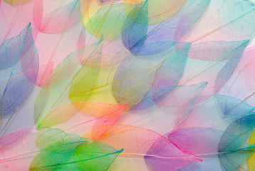 Panele Szklane Podświetlane  Kolorowe liście. Wzór tekstury liścia. Makro pozostawia teksturę tła. Kwiatowy wzór. Odchodzi. Kolory tęczy.