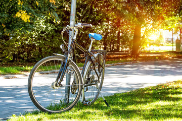 Fototapeta premium Bicycle standing at the road on sunny day in park.