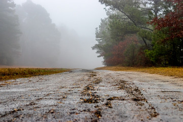 Obraz na płótnie Canvas road in the fog
