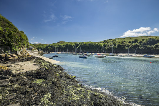 Solva Harbour Boats at Low Tide