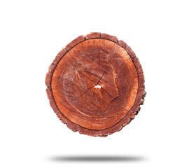 Old stump Isolated on white background. This has clipping path.
