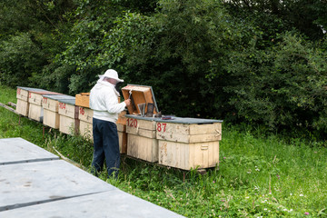 Beekeeper Working on Beehives