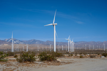 Fototapeta na wymiar Wind Farm in the California Desert 