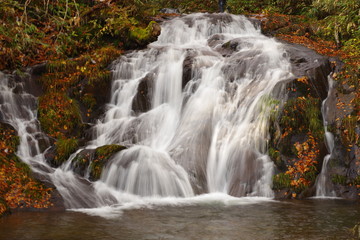 秋の滝