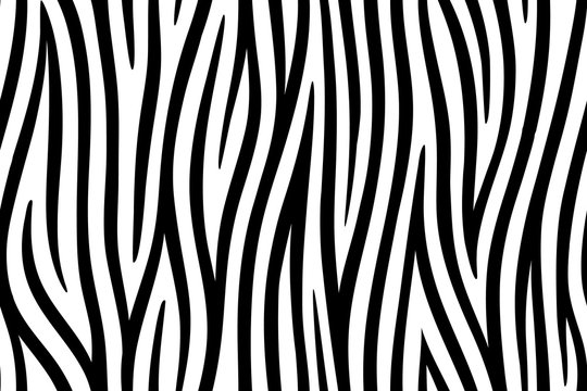Zebra skin seamless background on vector graphic art.