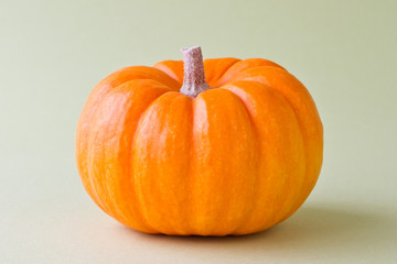 カボチャ　オレンジ