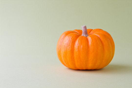 23 Best オレンジカボチャ Images Stock Photos Vectors Adobe Stock