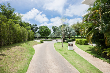 Obraz premium resort villa with palm tree at the day