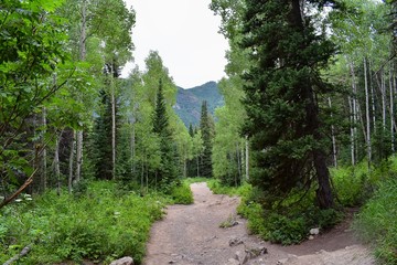 Obraz premium Mountain panoramic views from hiking trails to Doughnut Falls in Big Cottonwood Canyon, in the Wasatch front Rocky Mountains, Utah, Western USA.