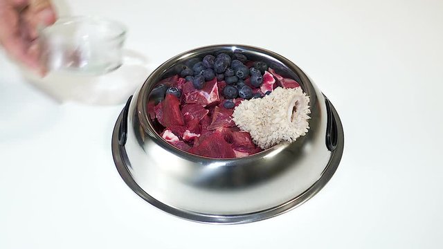 Putting Blueberry in  raw beef barf meal and Rumen paunch plain tripe in a dog bowl