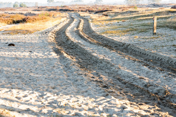 tracks in the sand
