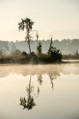 an misty morning at the water