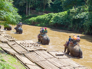 Tourists riding on elephant trekking in Thailand
