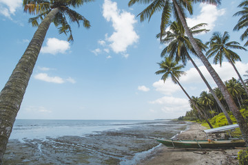 Obraz premium Coconut or Palm Tree, Cloudy Sky and Tropical Mud Beach