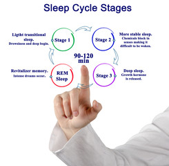woman presenting Sleep Cycle Stages