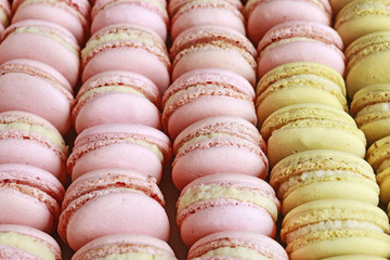 French macaroons cakes