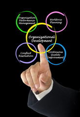  Components of Organizational Development