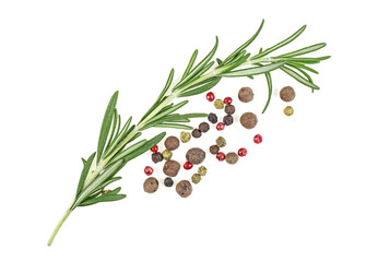 Fresh organic rosemary and peppercorns on a white background, closeup