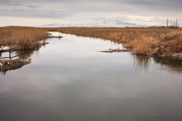 Fototapeta premium Wetlands with distant mountains 