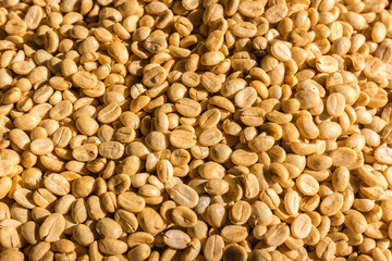 fresh coffee beans