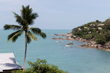 Beautiful tropical view with the Palm, blue sky, and blue tropical sea in Koh Samui, Thailand