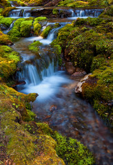 Small mountain stream surrounded by moss covered rocks