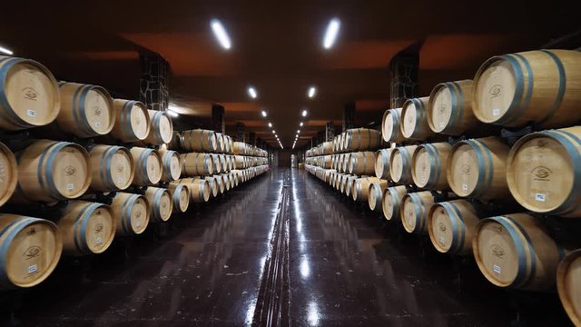 wine cellar Vault