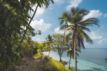 Fototapeta na wymiar Beautiful Tropical Beach with Coconut Tree and Blue Sky