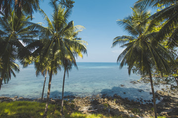 Obraz na płótnie Canvas Beautiful Tropical Beach with Coconut Tree and Blue Sky