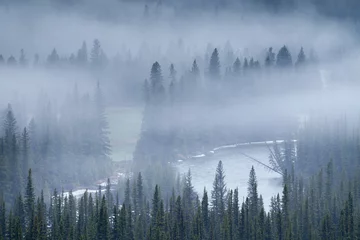 Foto auf Acrylglas Wald im Nebel Ein nebliger Morgen in den Wäldern der Rocky Mountains von Alberta, Kanada