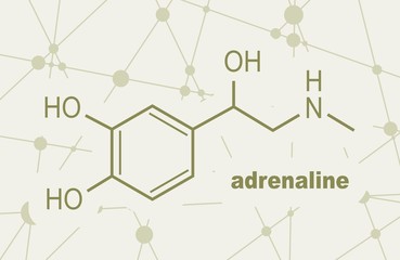 Chemical molecular formula hormone adrenaline. Infographics illustration.