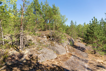 Fototapeta na wymiar large rocks in the forest