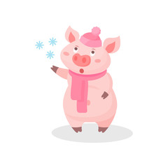 Funny pig wearing knitted hat and scarf, cute little piglet cartoon character catching snowflakes vector Illustration on a white background
