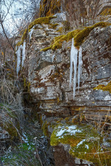 The rocky wall with hanging icicles, moss and lichens