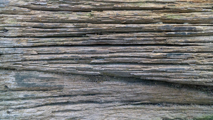 Fototapeta premium Texture of old wooden plank