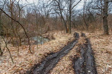 The dirty ground road in the leafless dark cold forest