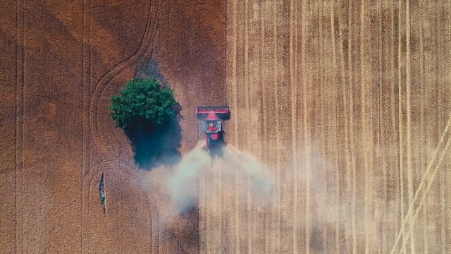 Combine harvester working on the large wheat field in the countryside, aerial drone view