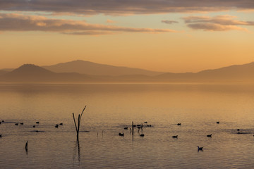 Beautiful view of a lake at sunset, with orange tones and birds flying and on water