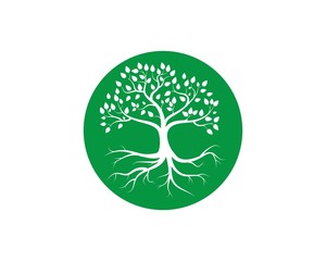 Tree icon concept of a stylized