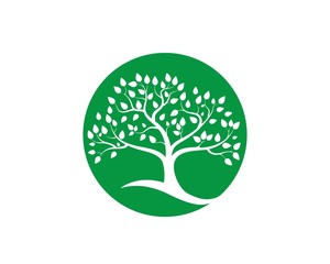 Tree icon concept of a stylized