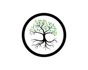 Obraz premium Tree icon concept of a stylized